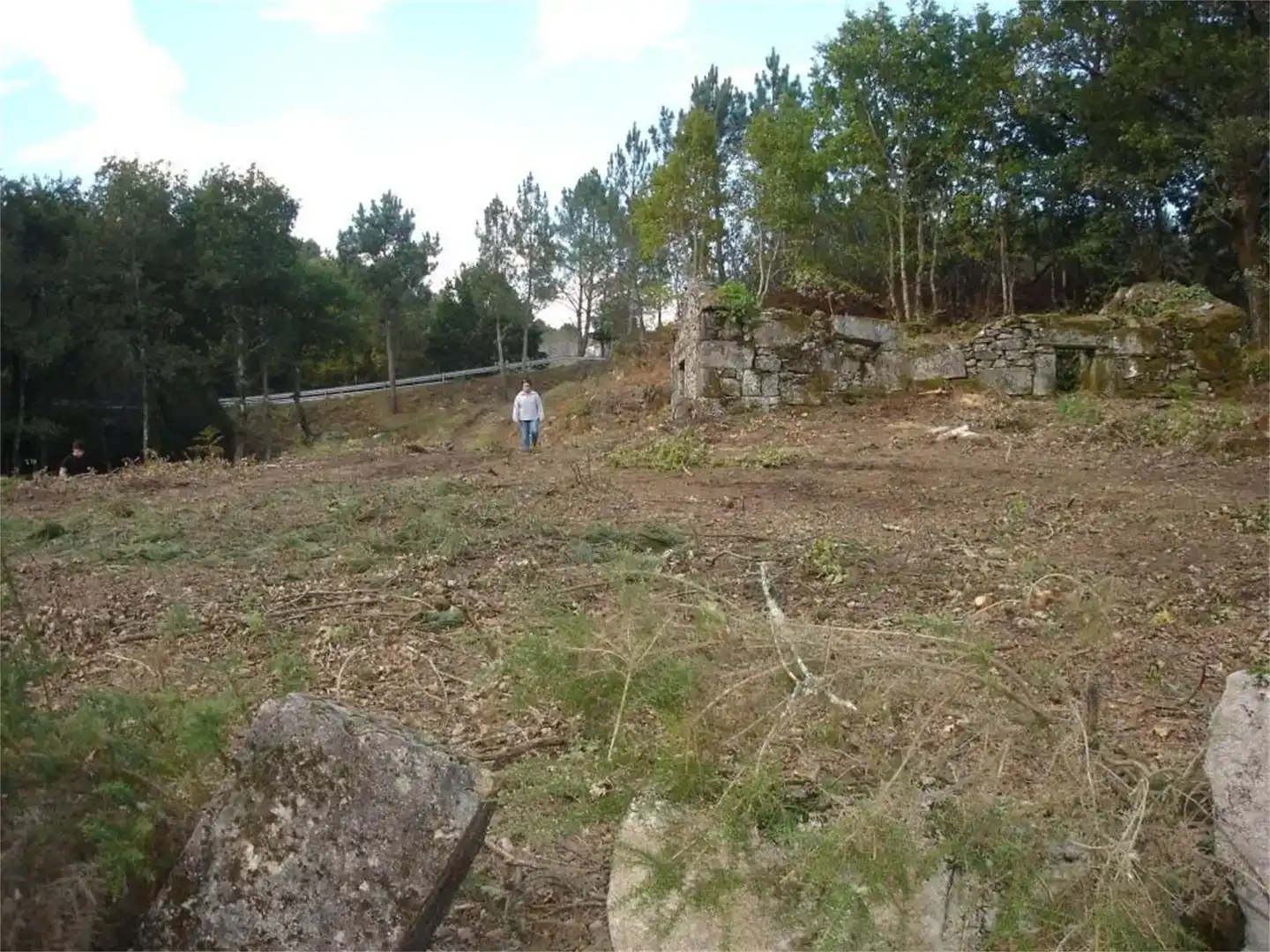 Finca rústica en venda en Boborás