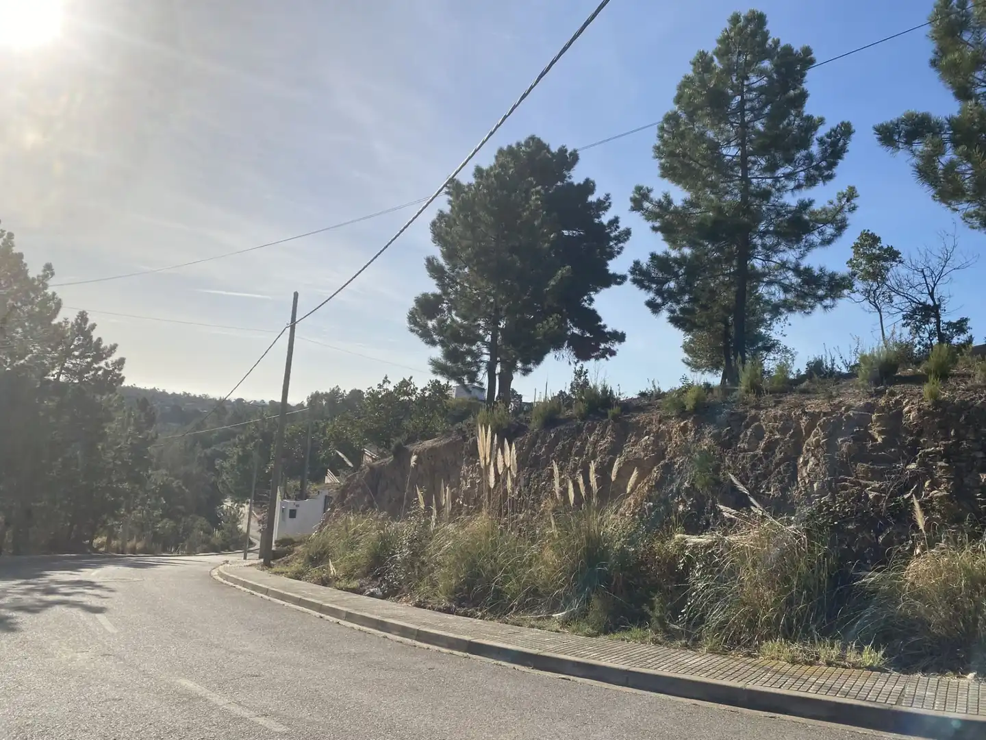 Terreno residencial en venta en Calle Lirios 23, imagen 4