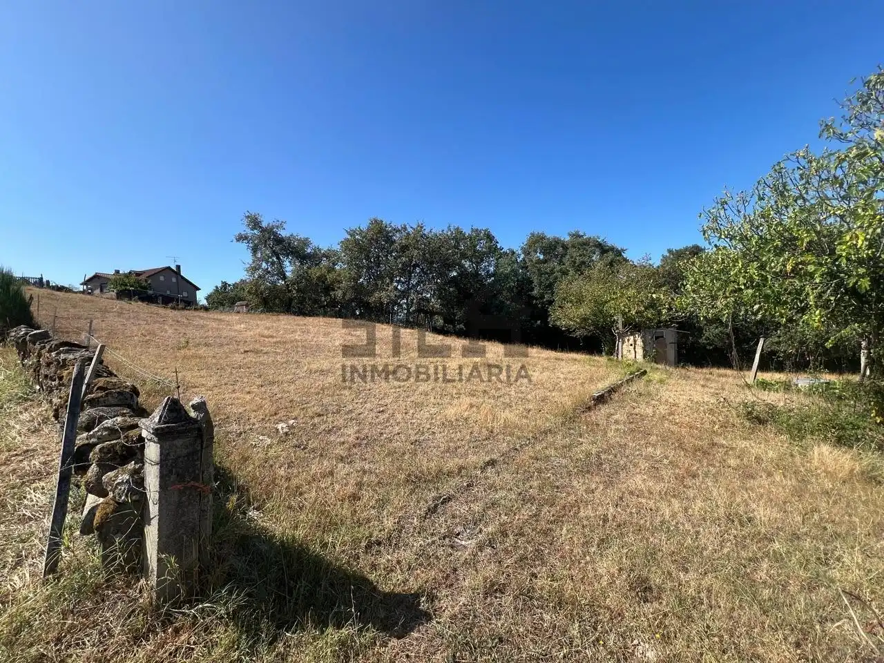 Terreni e lotti in vendita a O Pereiro de Aguiar, imagen 2