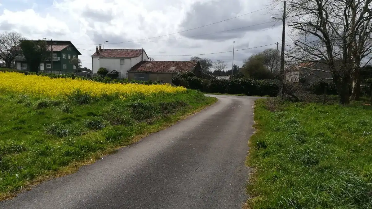 Terreni e lotti in vendita a Área de Ames, imagen 11