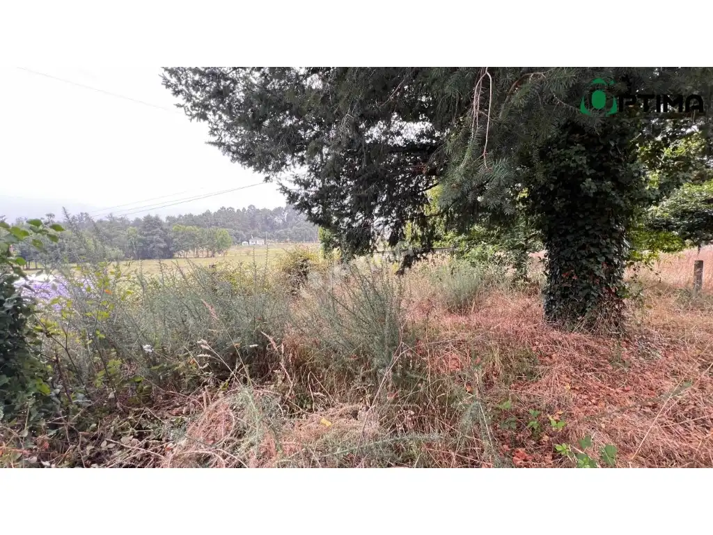 Rural land for sale in A Estrada, imagen 6