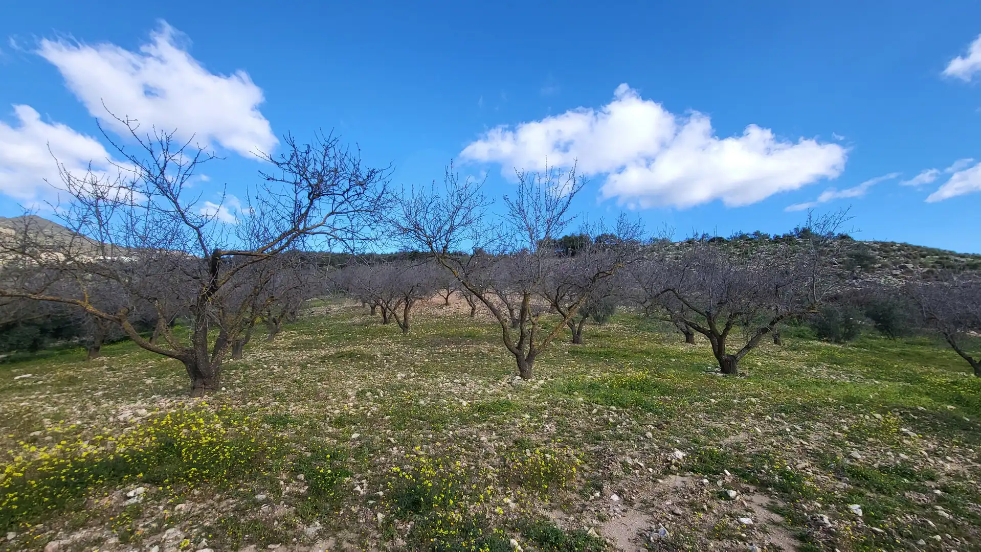 Casa o chalet en venta en Antequera con Calefacción y Terraza