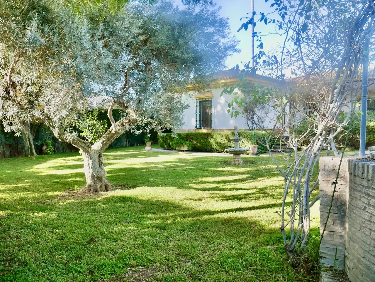 Casa o xalet en venda a Jacinto Benavente, Gines