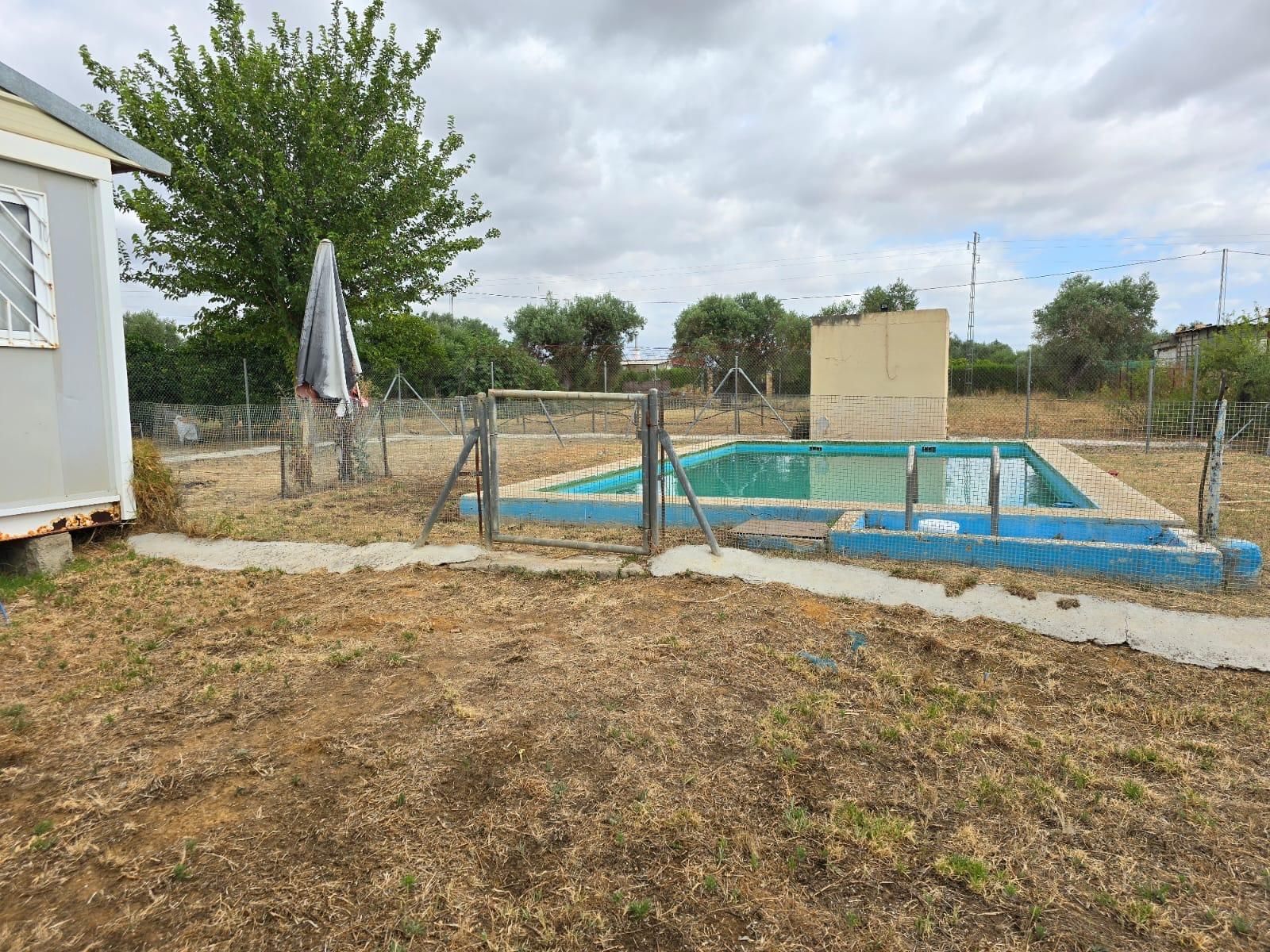 Piscina de Casa o xalet en venda en Utrera amb Jardí privat i Piscina