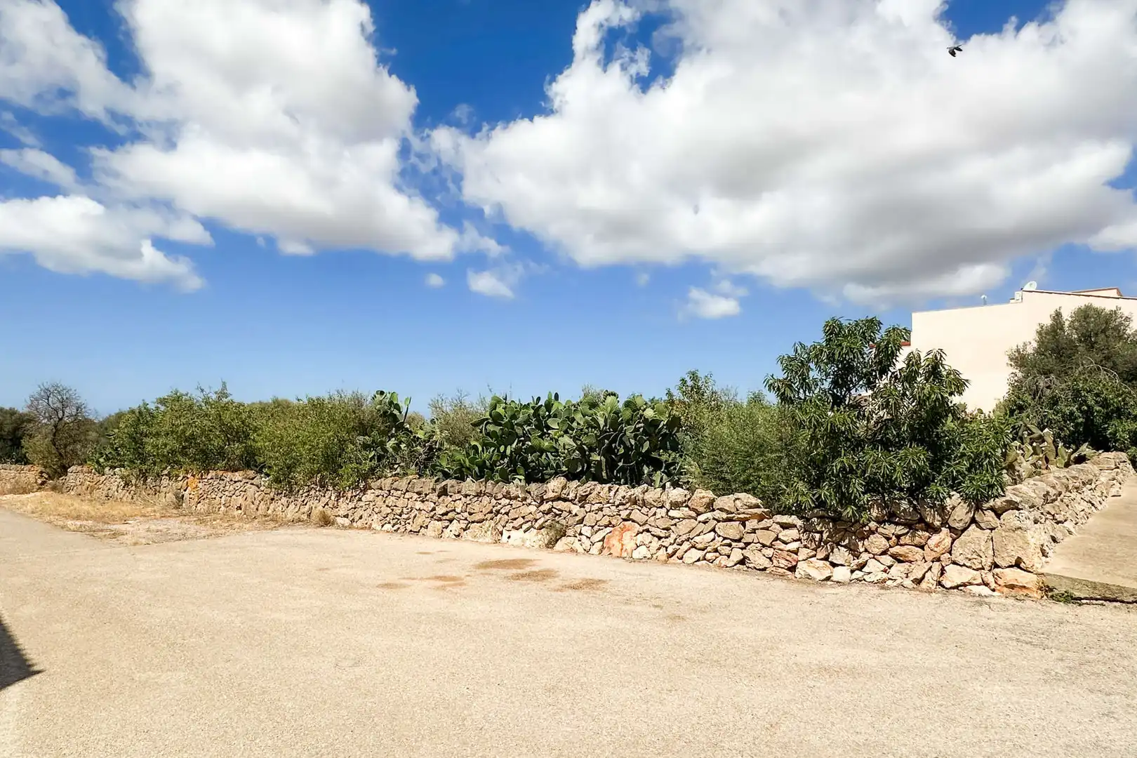 Wohnbaugrundstück zum Verkauf in Ses Salines Poble, imagen 8