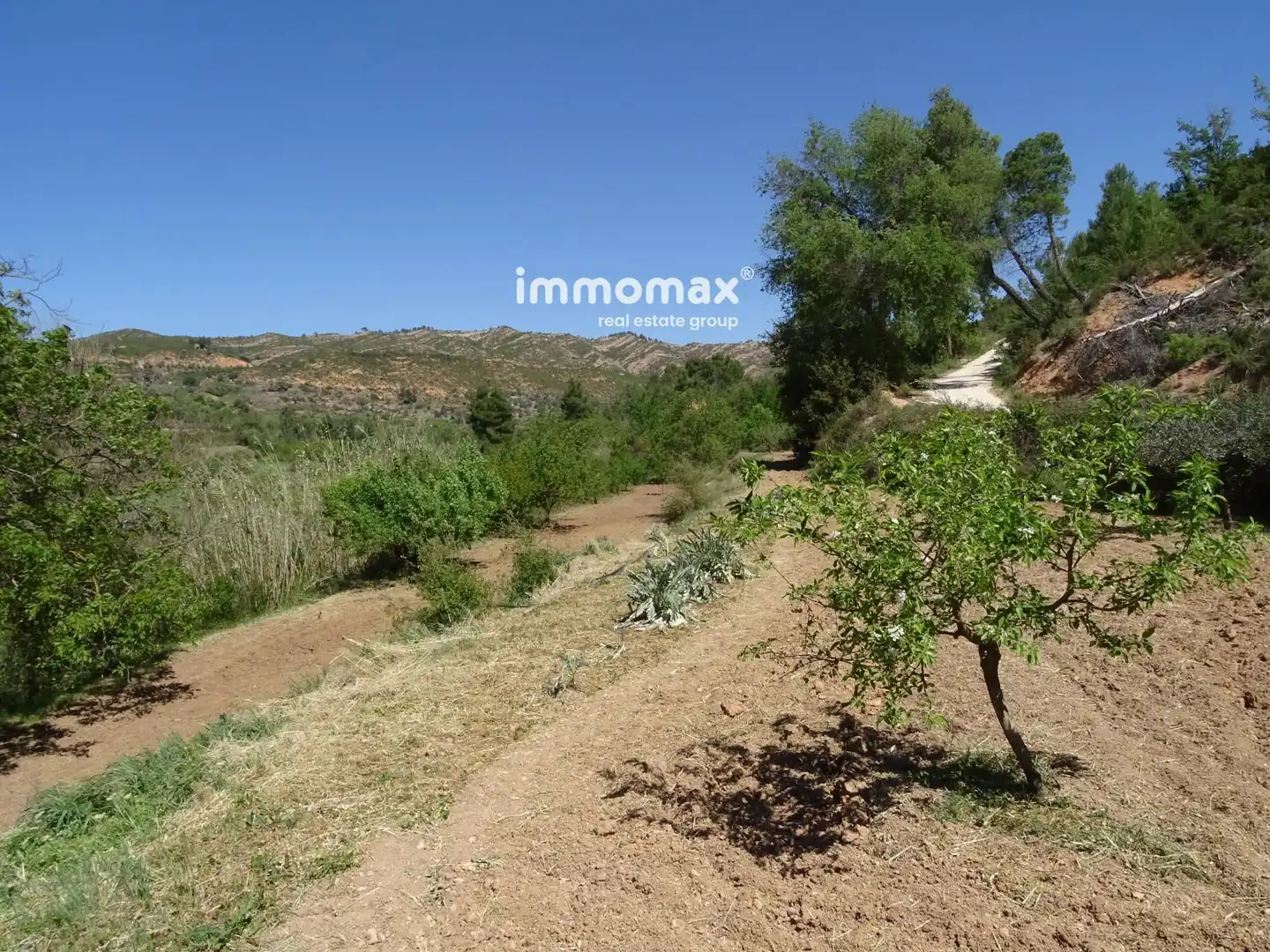 Rural land for sale in 32, imagen 4