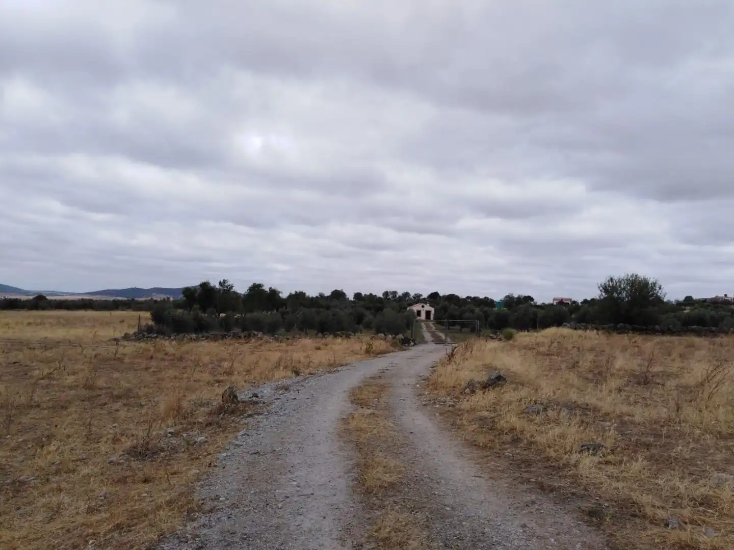 Terreno en venta en Quintana de la Serena