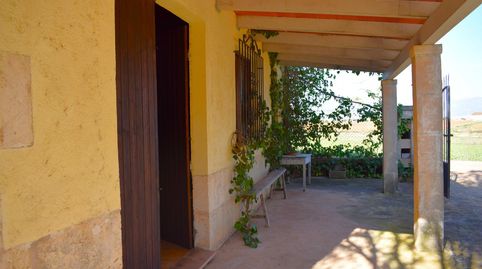 Finca rústica con casa de campo  con hermosas  vistas a la Serra de Tramuntana en Muro, imatge 4