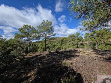 Terrenys i solars en venda a Trillo