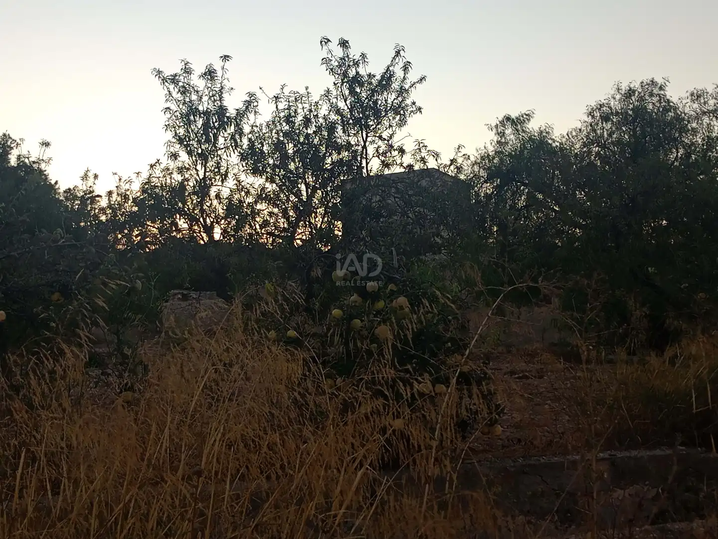 Country homes for sale in Lorca