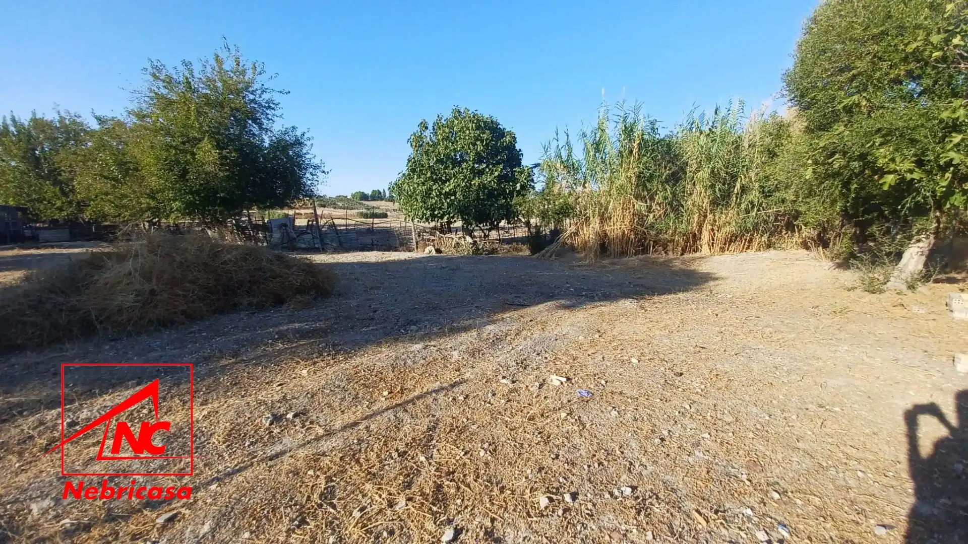 Lands and plots for sale in El Cuervo de Sevilla, imagen 6