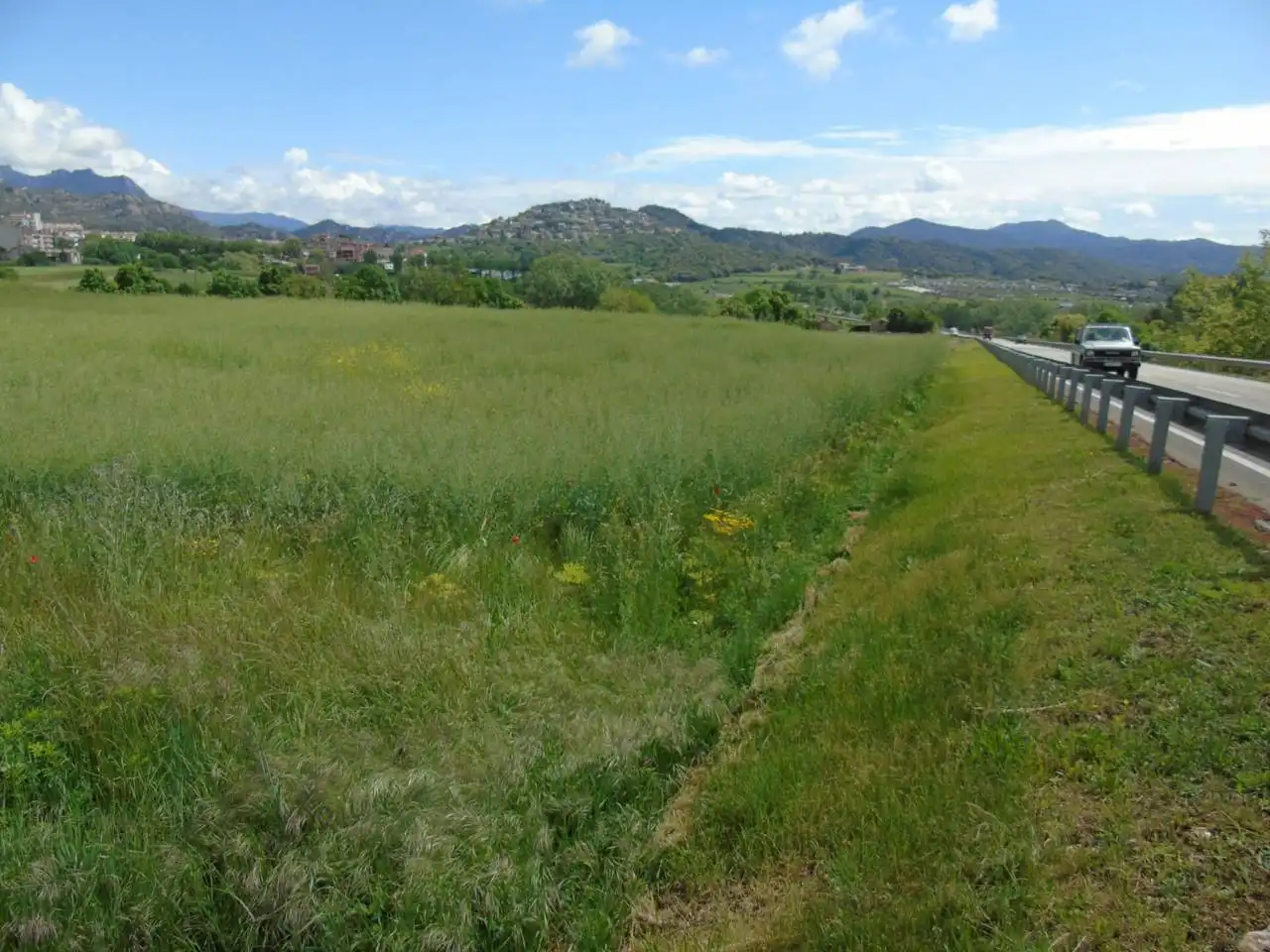 Terreno rustico in vendita a Berga, imagen 4
