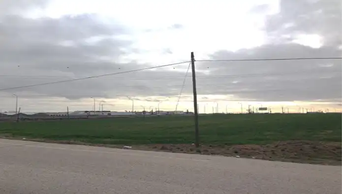 Rural land for sale in C/ Sector S-12, Pol 7, imagen 7
