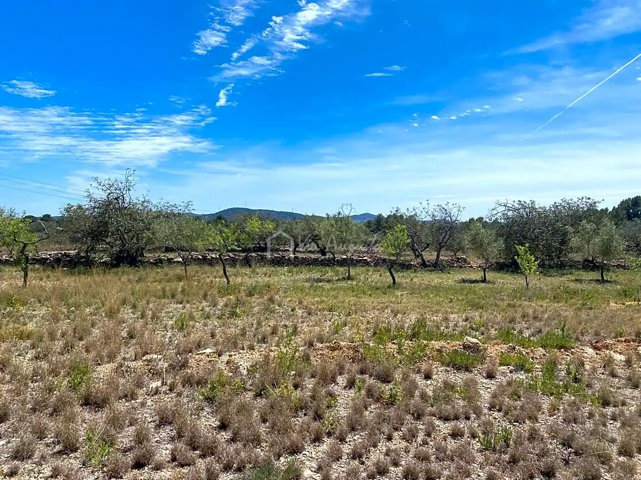 Terreno rustico in vendita a Mas de Baralluga, imagen 20