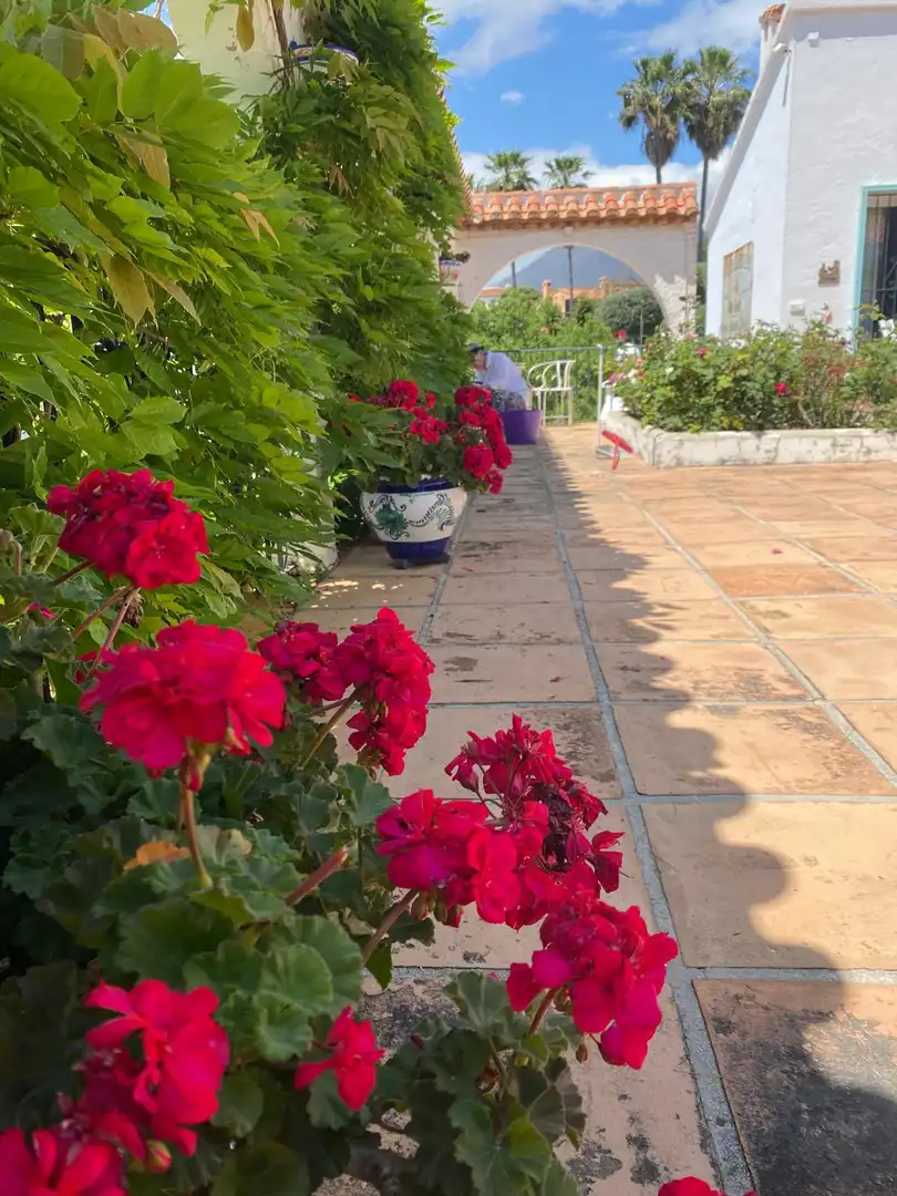 Casa amb piscina en venda a Selwo, imagen 34