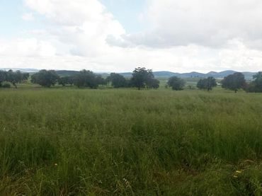 Terreno residenziale in vendita a Peñarroya-Pueblonuevo