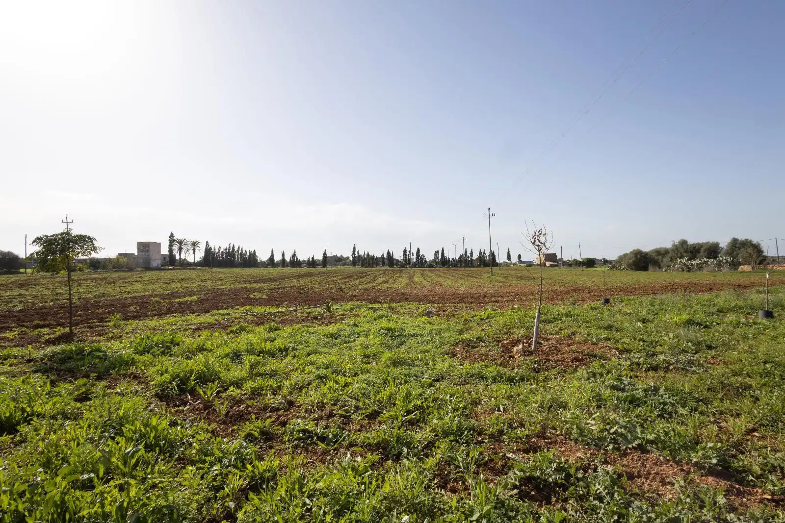 Chalet con piscina en venta en Campos poble, imagen 25