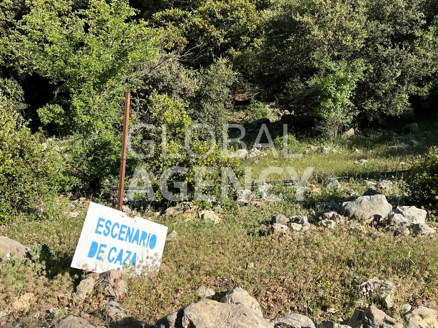 Terreny en venda en Jaén
