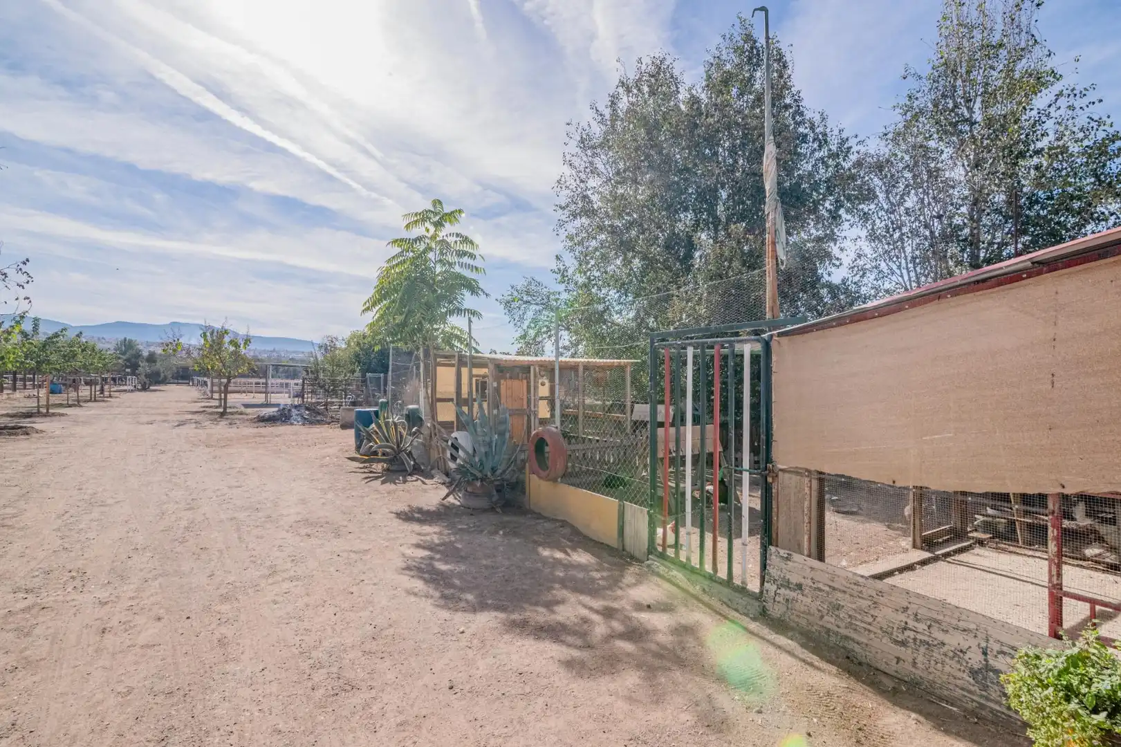 Vista exterior de Finca rústica en venta en La Zubia