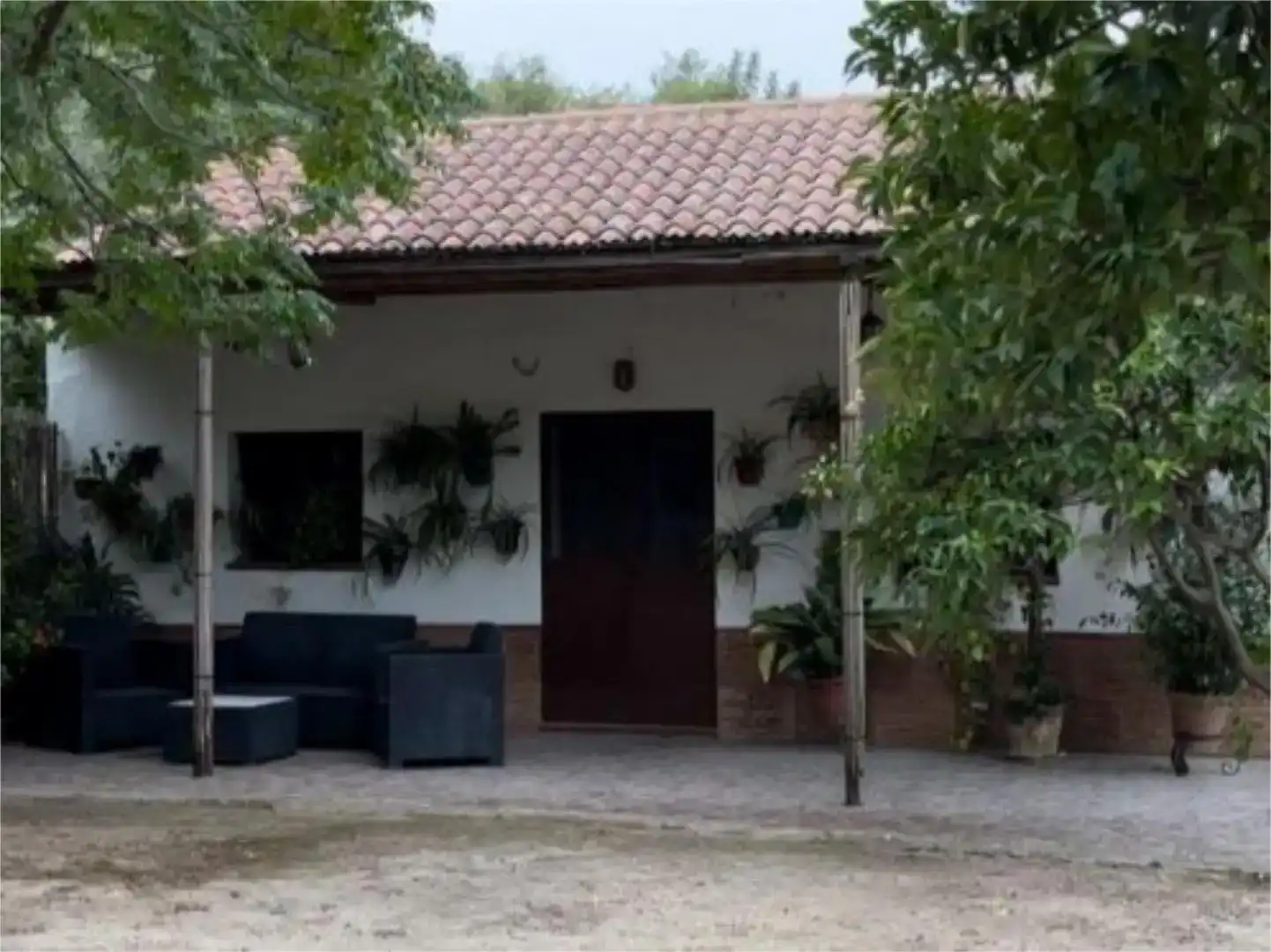 Vista exterior de Finca rústica en venda en Morón de la Frontera
