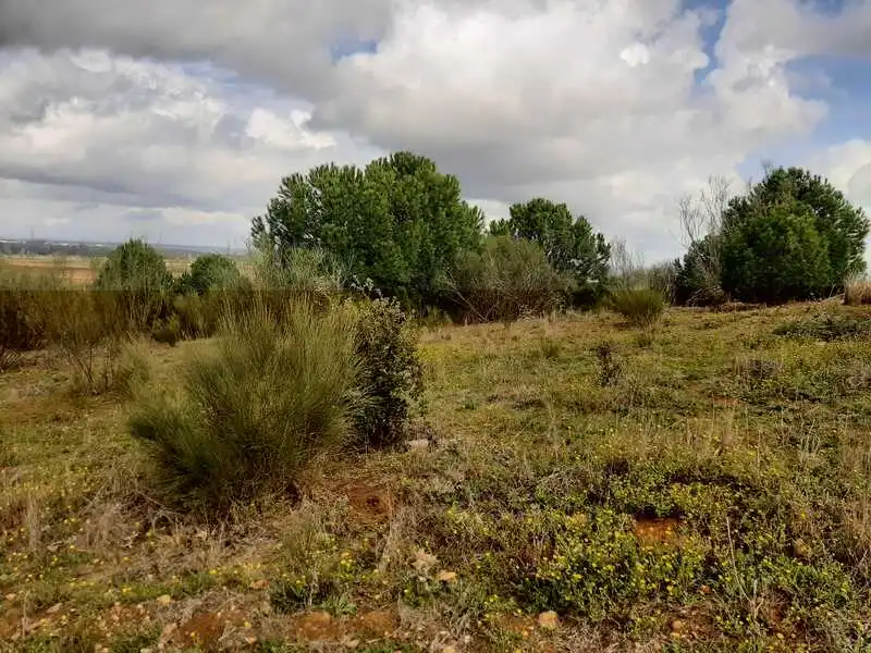 Terreni e lotti in vendita a GOLF DEL GUADIANA, imagen 12