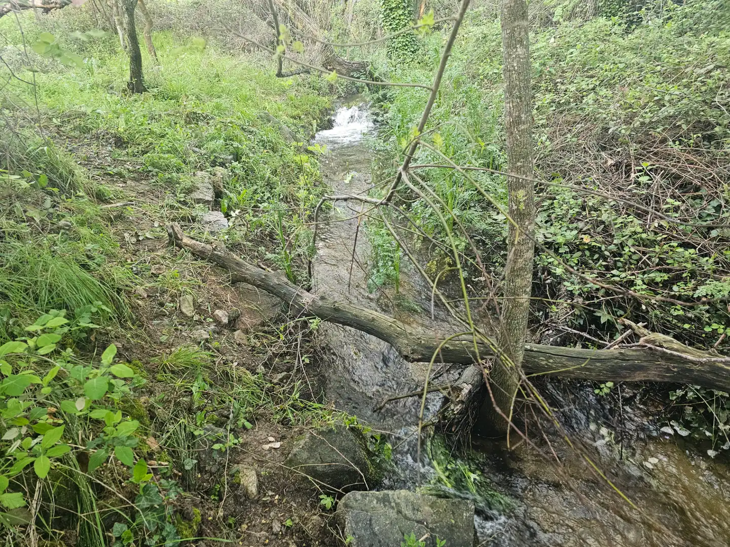 Rural land for sale in Zarzalejo, imagen 3