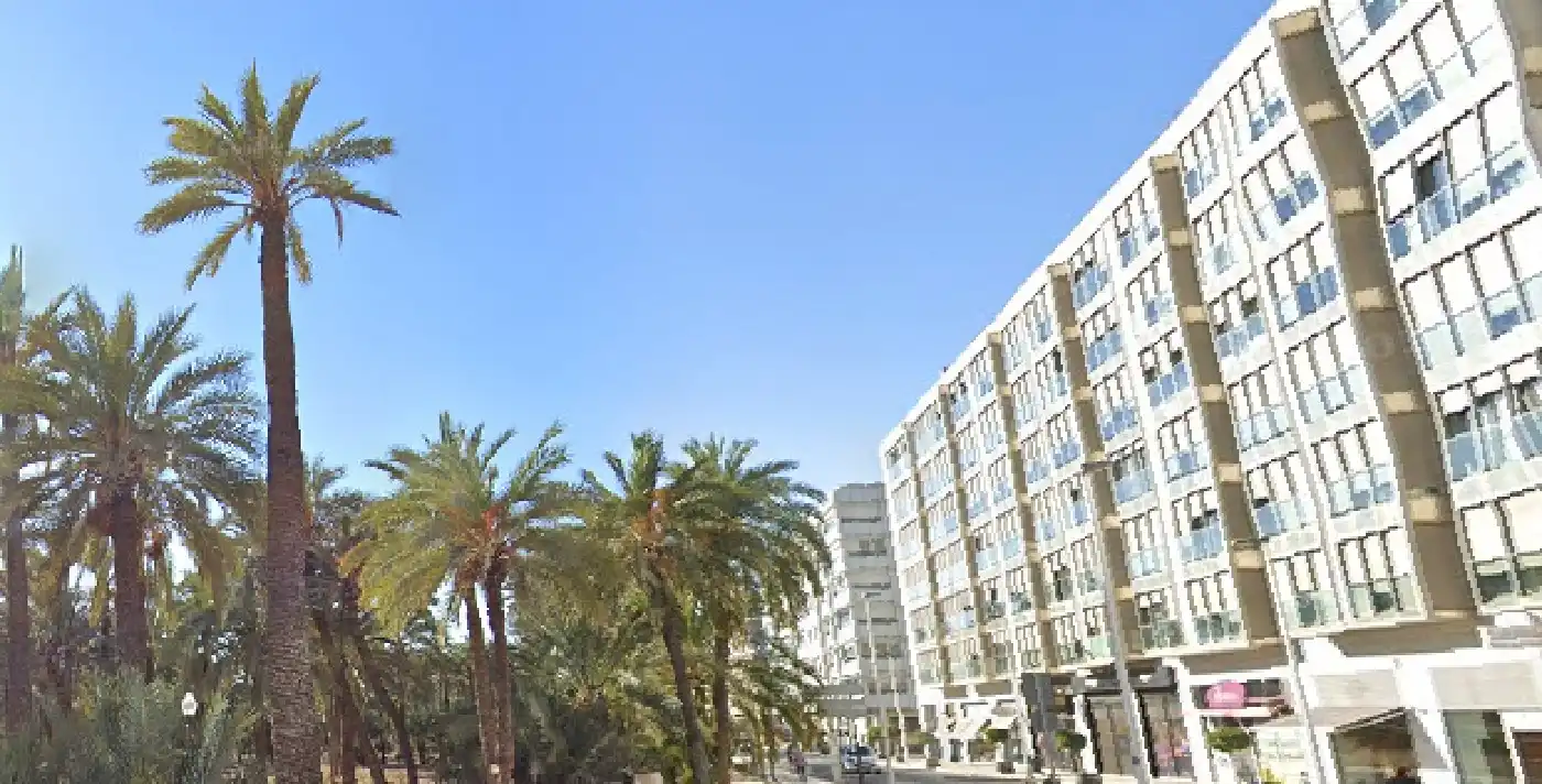 Exterior view of Commercial properties for rent in Elche / Elx