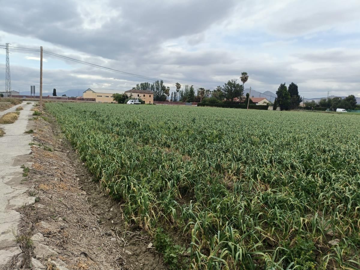 Finca rústica en venda en Vegas del Genil