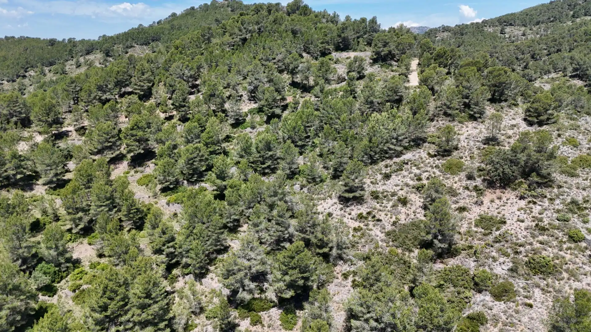 Finca rústica en venda en Tivissa