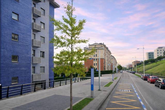 Piso en Alquiler en Calle Ernest Lluch en Monte