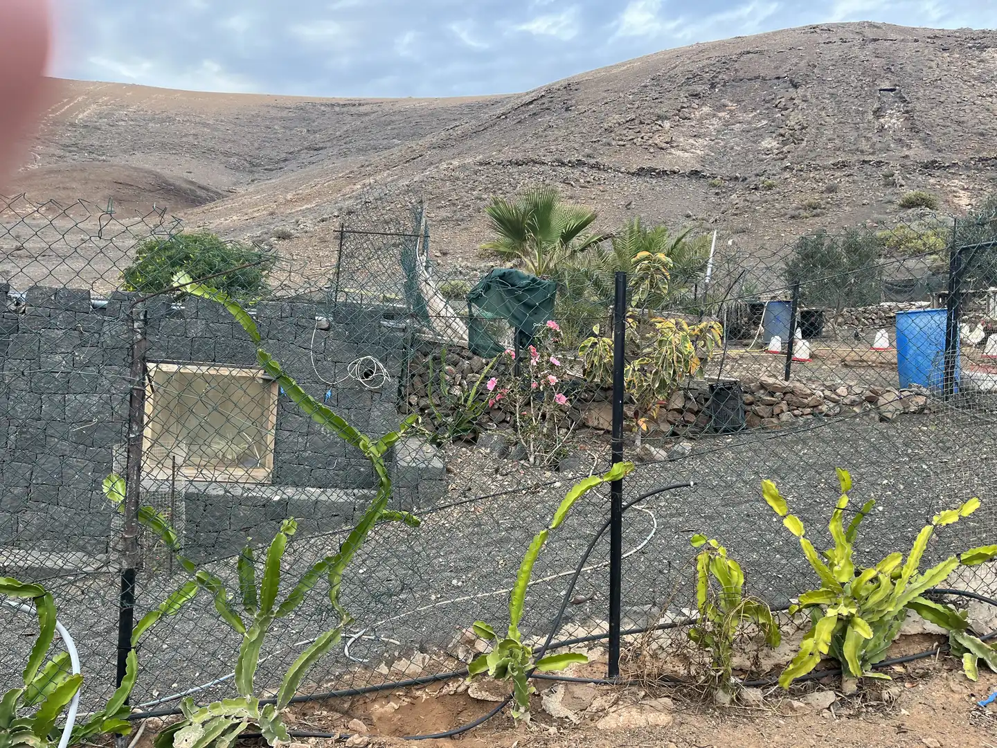 Finca rústica en venta en Playa Blanca