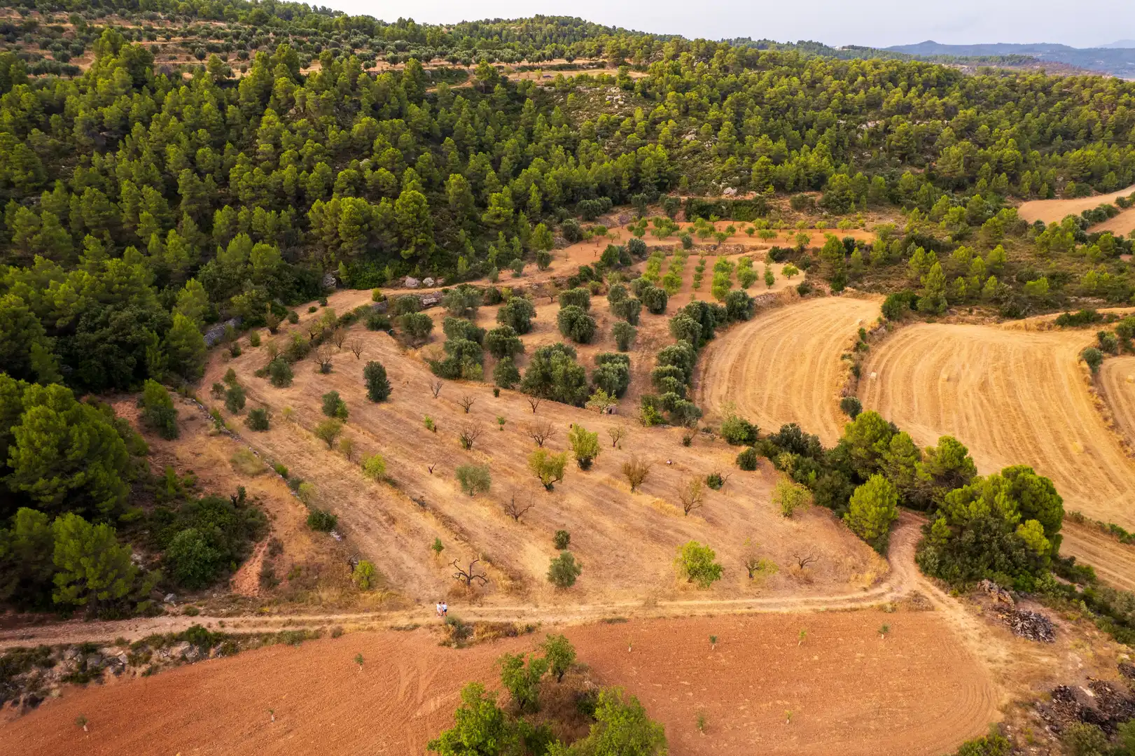 Rural land for sale in Lledó, imagen 30