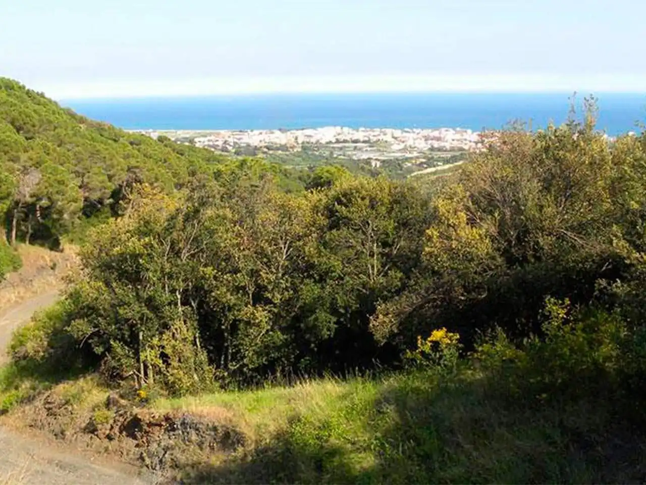Lands and plots for sale in De Forès 34