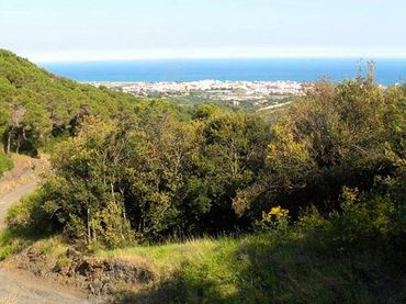 Terrenys i solars en venda a De Forès 34