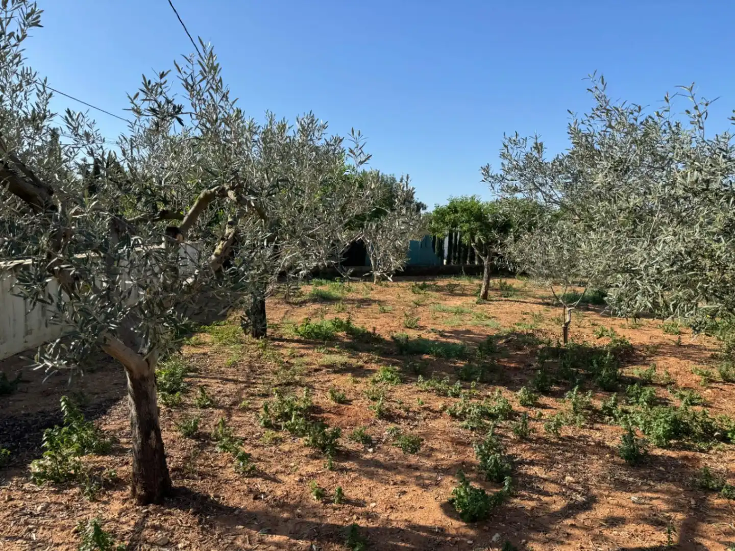 Maison rustique avec piscine à vendre à Benissa pueblo, imagen 5