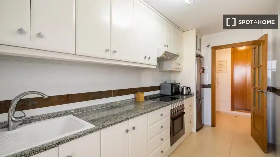 Kitchen of Apartments for share in Pilar de la Horadada  with Air Conditioner, Terrace and Furnished