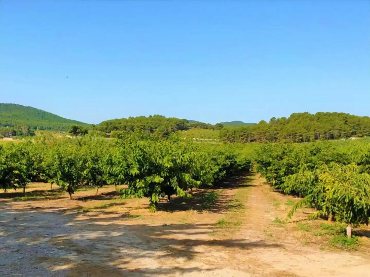 Wohnung zur Miete in Alcoy / Alcoi mit Klimaanlage, Privatgarten und Schwimmbad