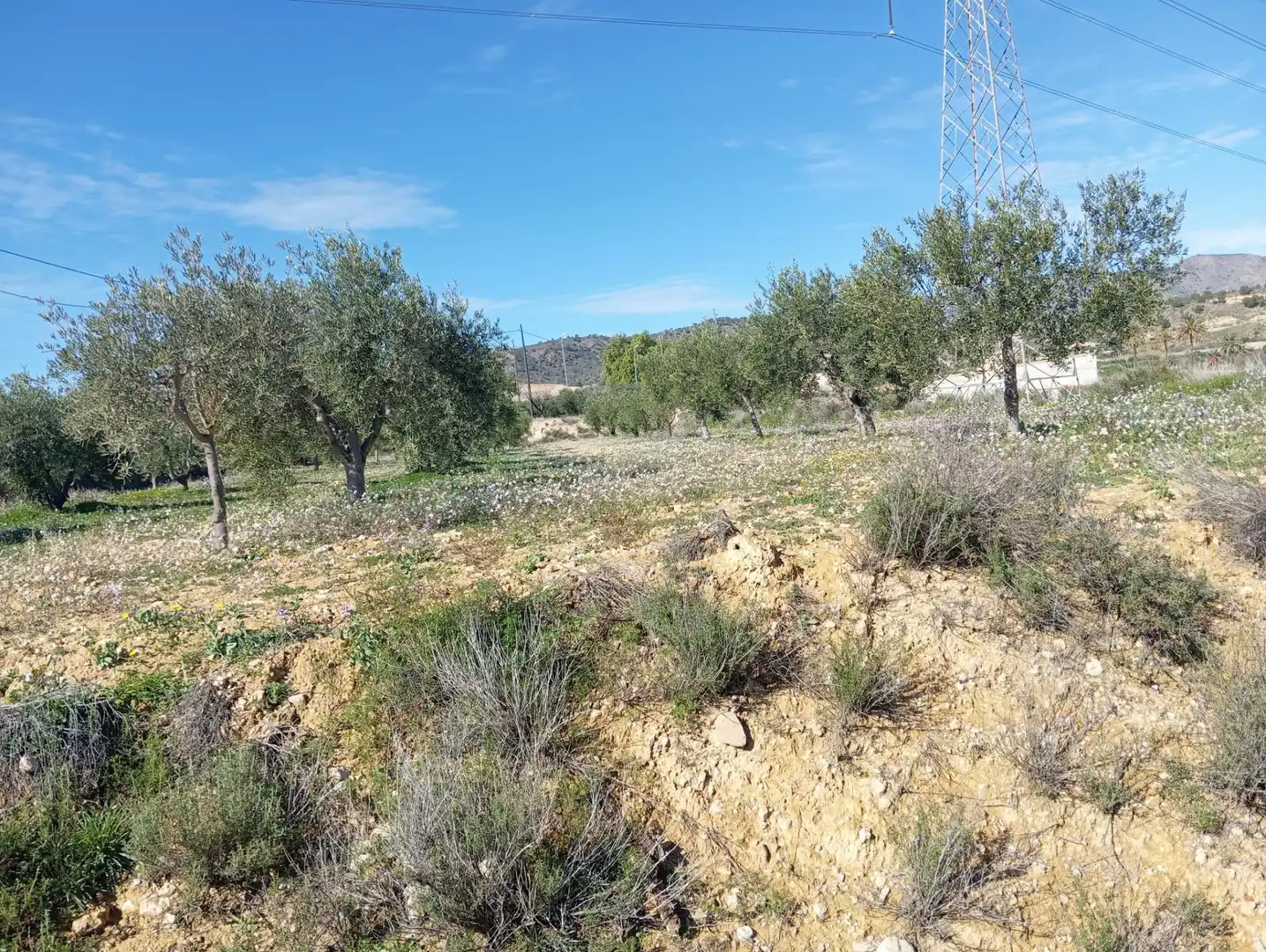 Terrain rustique à vendre à Abanilla, imagen 6
