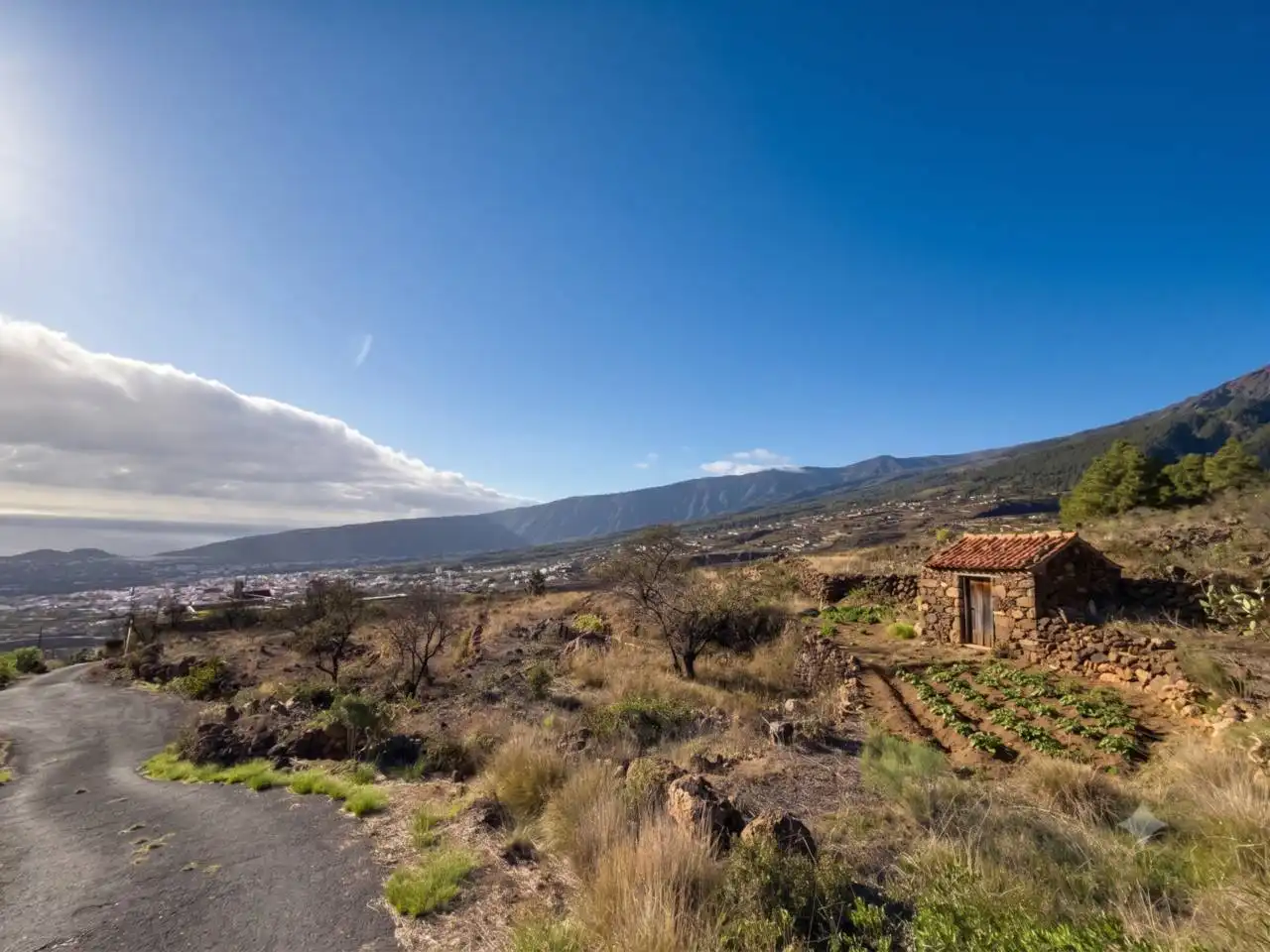 Rural land for sale in Camino Montesinas, imagen 21