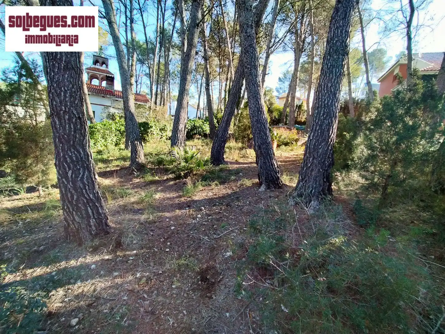 Terrenos y solares en venta en Olesa de Bonesvalls, imagen 5