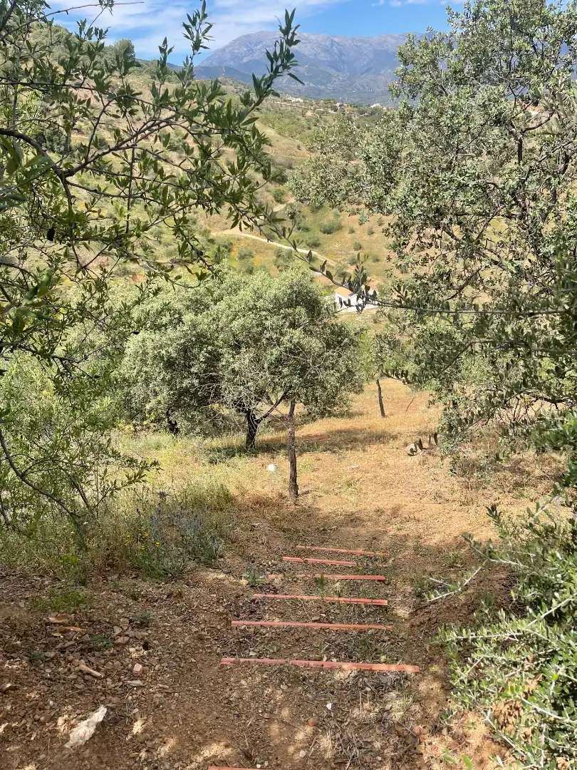 Terreno en venta en Guaro