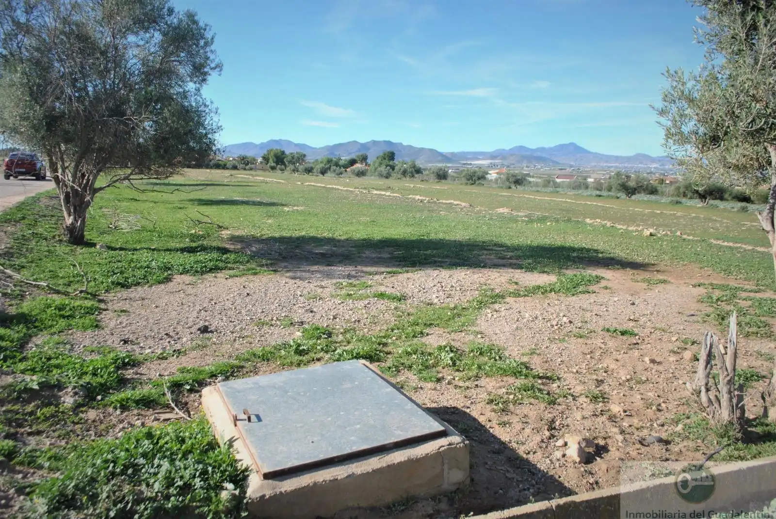 Lands and plots for sale in Pedanías Sur