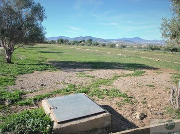 Terreni e lotti in vendita a Pedanías Sur