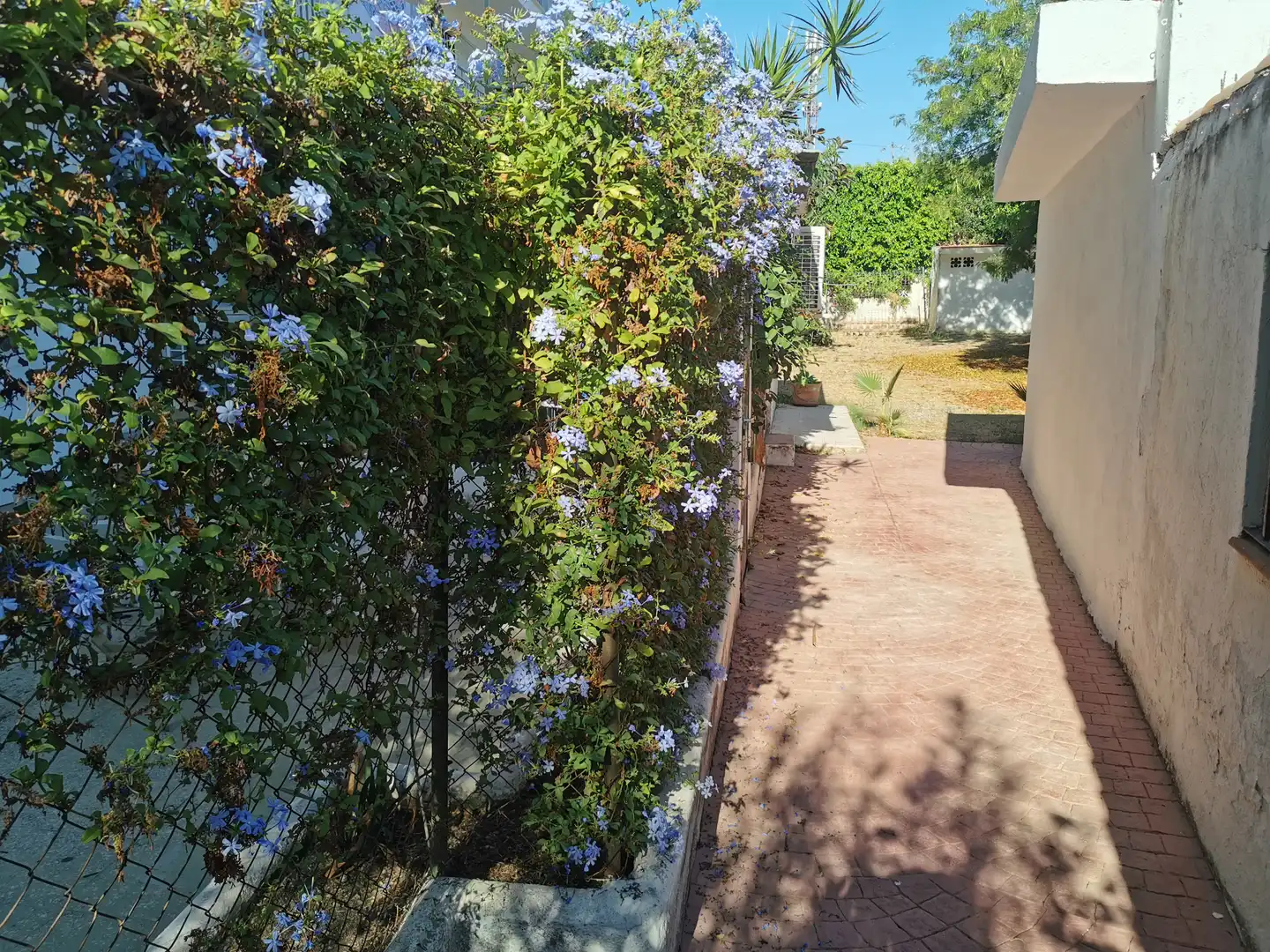 Studio mit Aufzug zur Miete in Avenida la Riviera, imagen 22