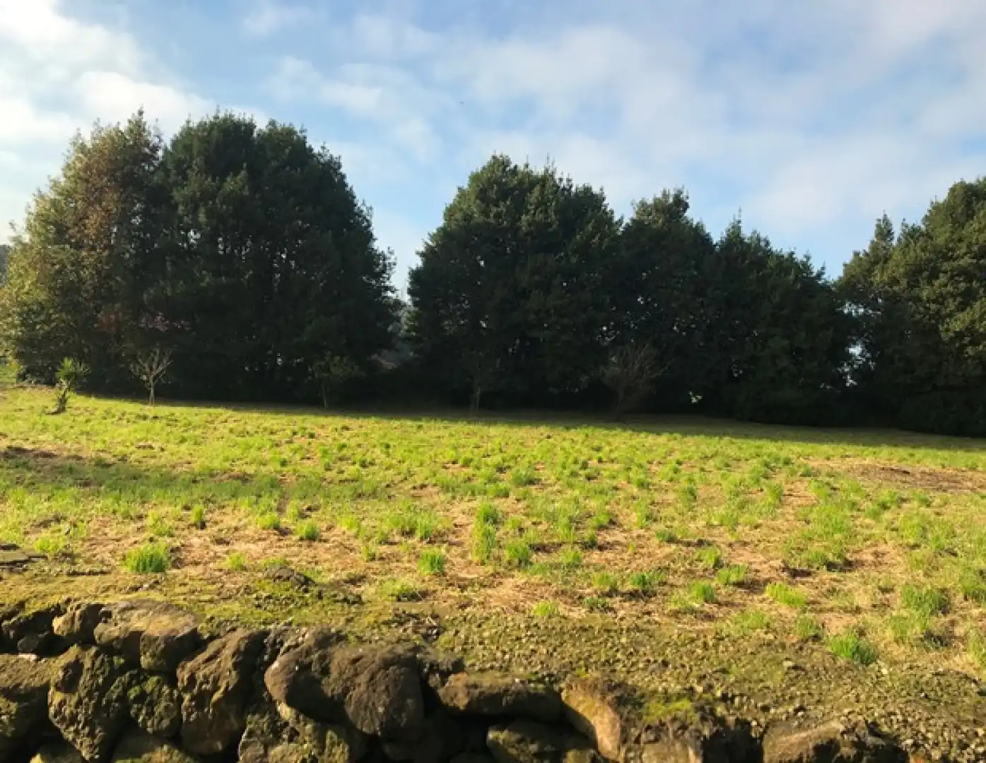 Terreno residenziale in vendita a Verdicio - Bañugues - Cabo Peña, imagen 4