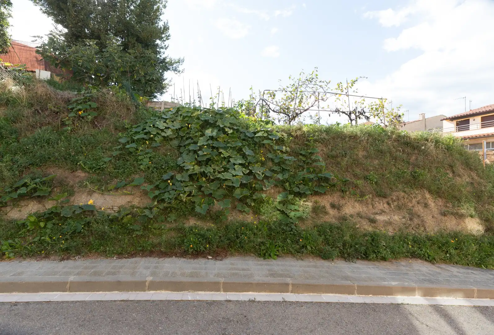 Lands and plots for sale in BONAVISTA, imagen 3