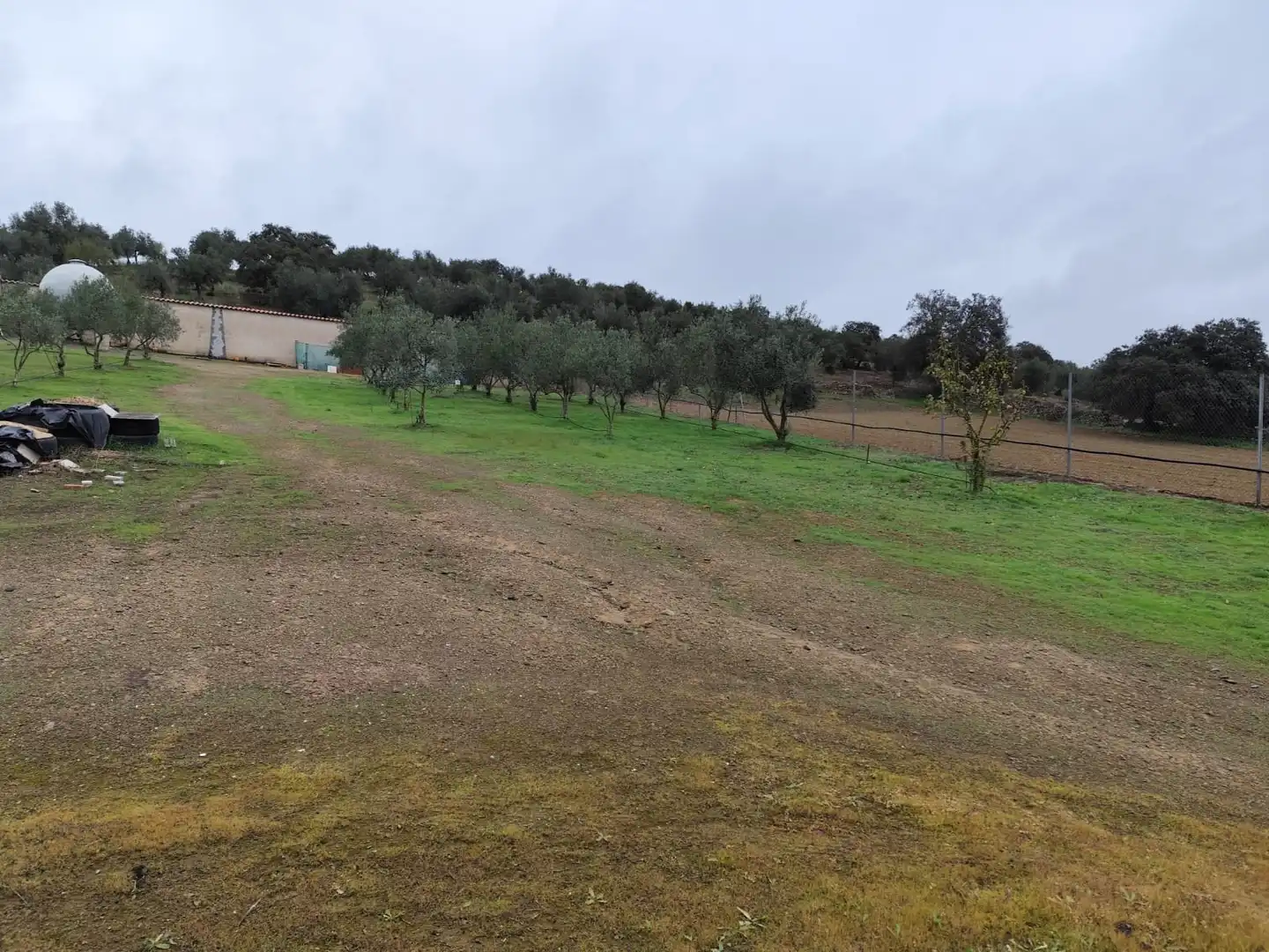 Land for sale in Atalaya