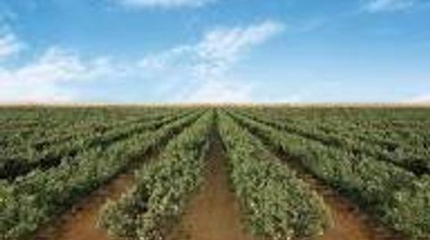 Photo 5 of Land for sale in Fuensanta - Universidad, Cuenca Capital