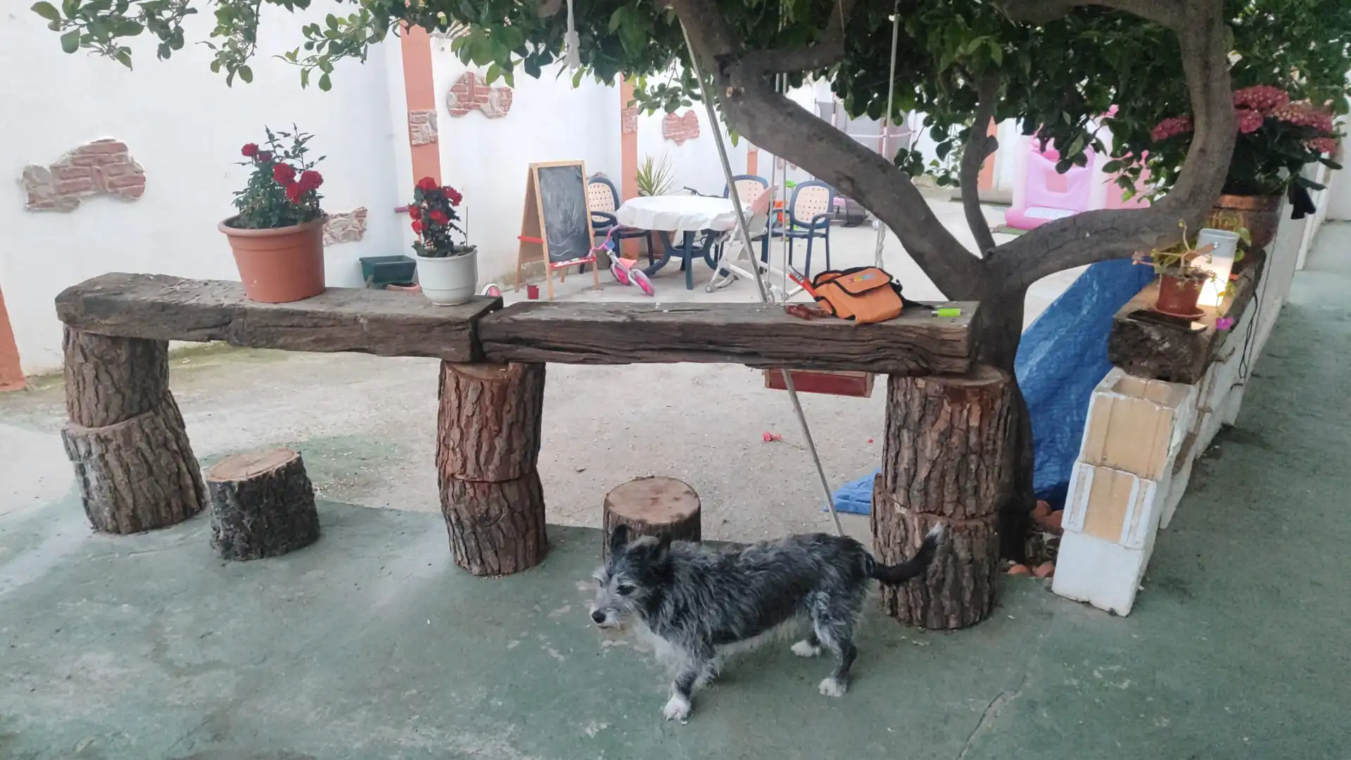 Casa amb jardí en venda a Calle la Maltesa, imagen 20