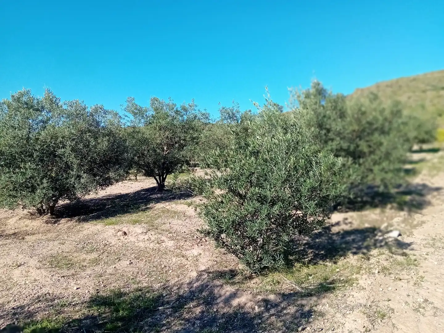 Land for sale in Cartagena